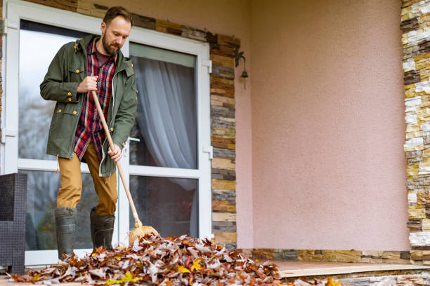 Best Dumpster Rental Services  in La Plata, MD